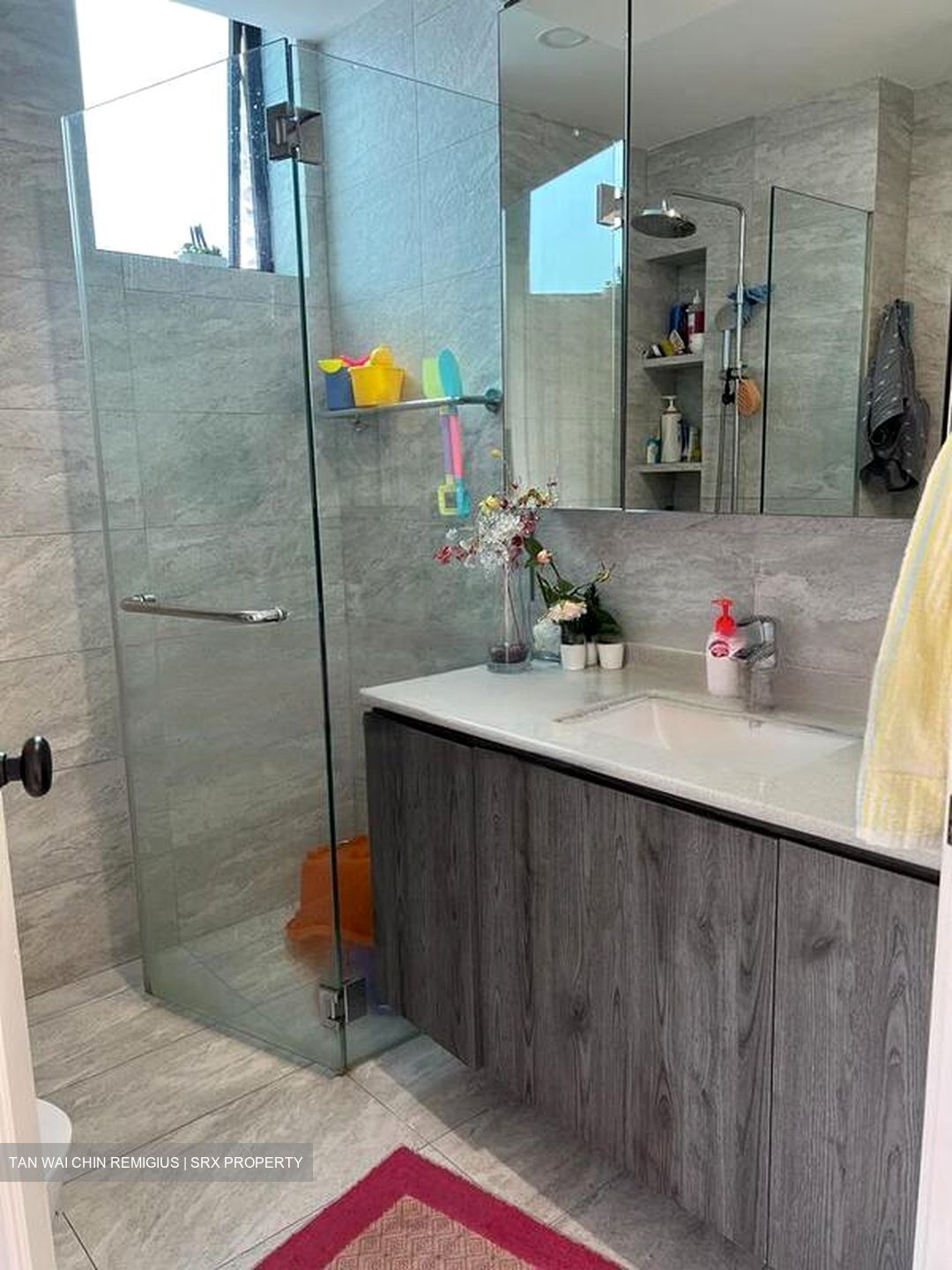 Spring Grove (D10), Condominium #469738681